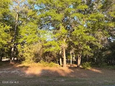 2000 Oyster Harbour Parkway SW Supply NC 28462