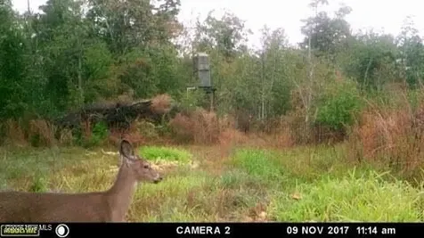 Near 523 Culbreth Smith Road Elizabethtown NC 28337