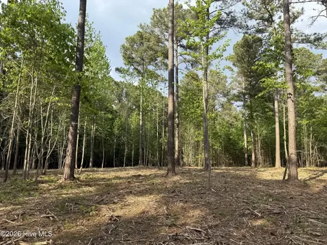 000 Tbd Lancaster Store Road Spring Hope NC 27882