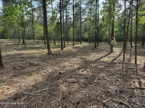 000 Tbd Lancaster Store Road Spring Hope NC 27882