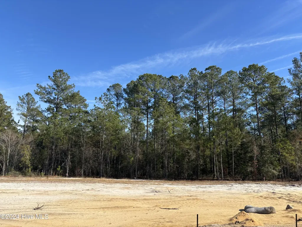 2983 W Timber Crest Drive NE Leland NC 28451