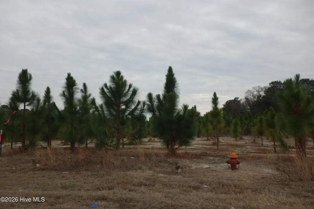 Lot 41 Stuarts Mill Road Fairmont NC 28340