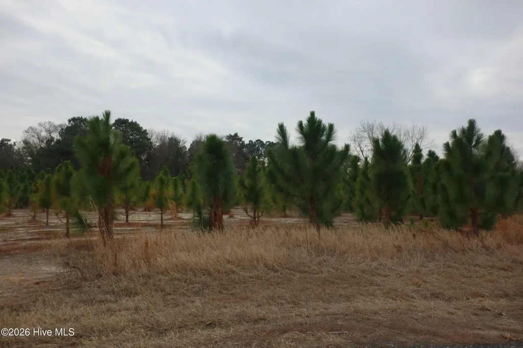 Lot 43 Stuarts Mill Road Fairmont NC 28340