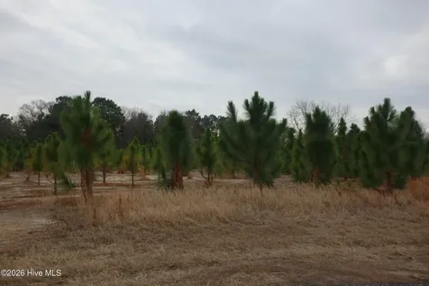 Lot 43 Stuarts Mill Road Fairmont NC 28340