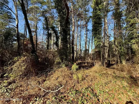 0 Alexander Lane Williamston NC 27892