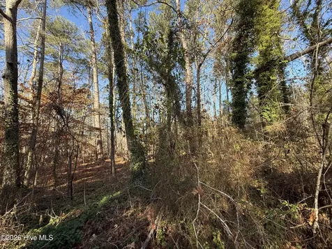 0 Alexander Lane Williamston NC 27892