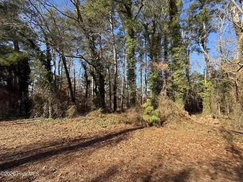 0 Alexander Lane Williamston NC 27892