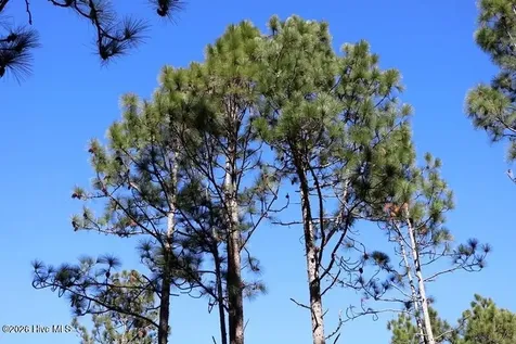 Tbd Nc Hwy 130 Road Fairmont NC 28340