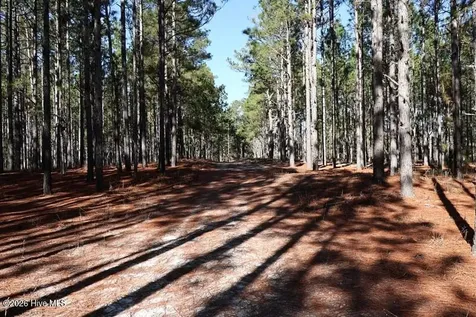 Tbd Nc Hwy 130 Road Fairmont NC 28340
