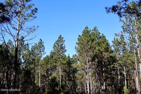 Tbd Nc Hwy 130 Road Fairmont NC 28340