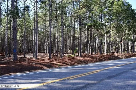Tbd Nc Hwy 130 Road Fairmont NC 28340