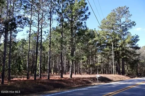Tbd Nc Hwy 130 Road Fairmont NC 28340