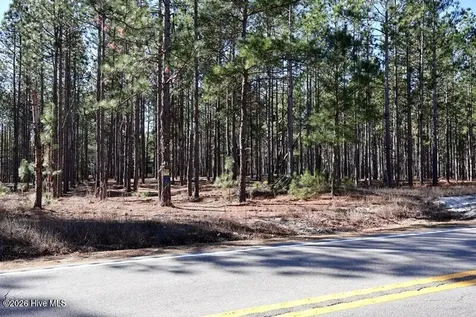 Tbd Nc Hwy 130 Road Fairmont NC 28340