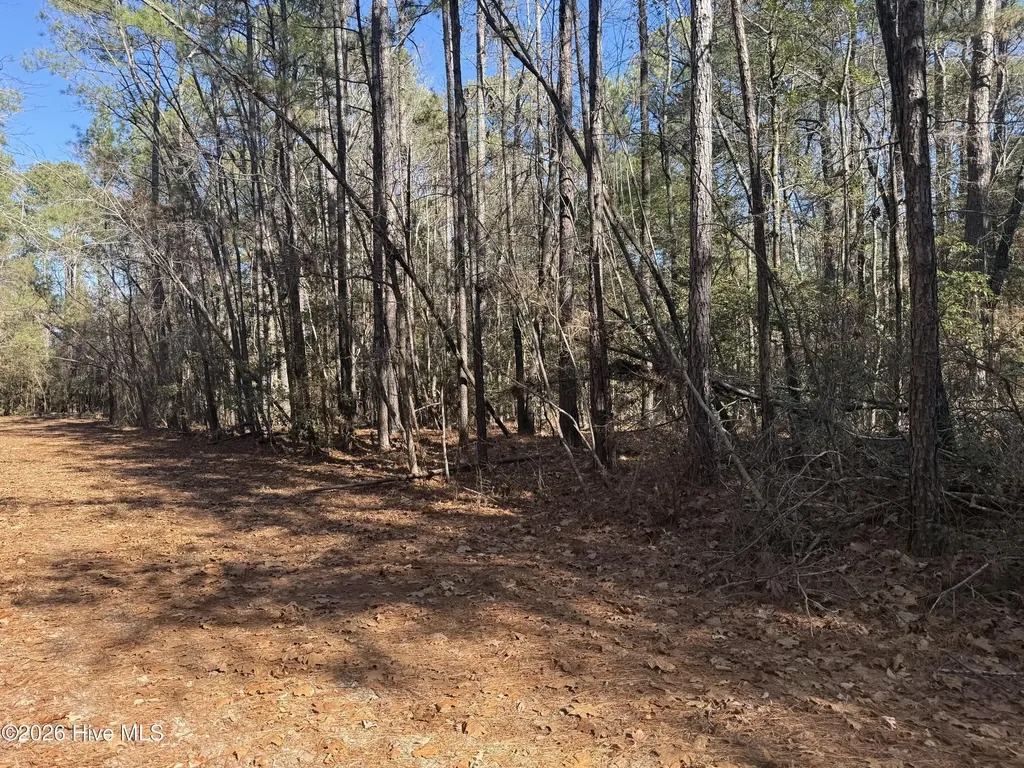 464 Sweet Gum Drive Vass NC 28394