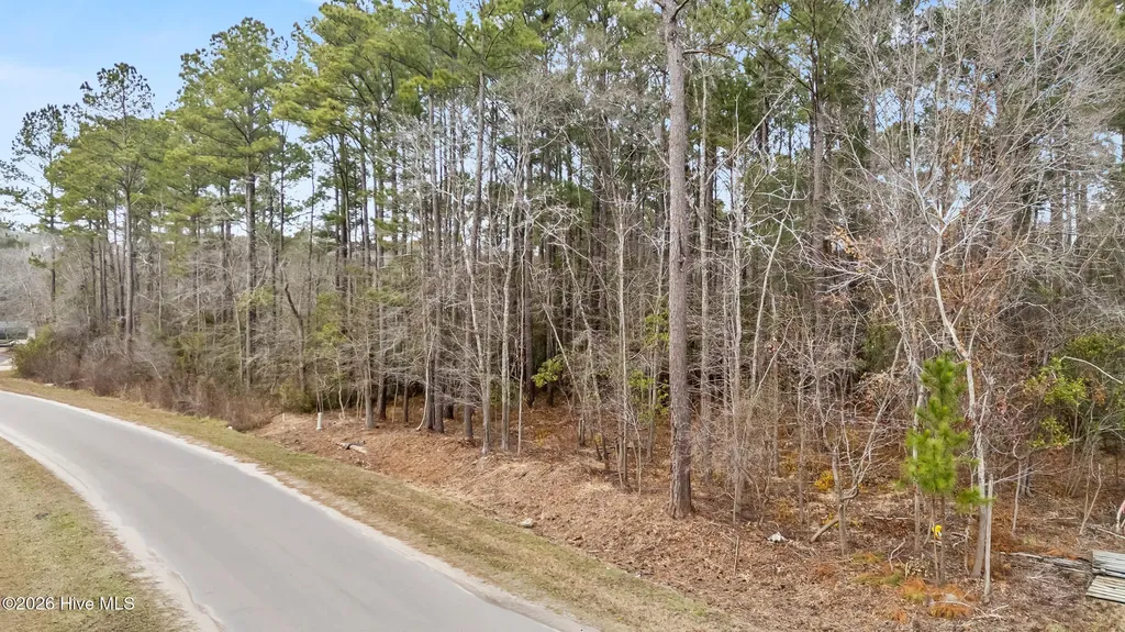 Lot 4 Copperhead Lane Burgaw NC 28425