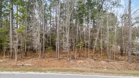 Lot 4 Copperhead Lane Burgaw NC 28425