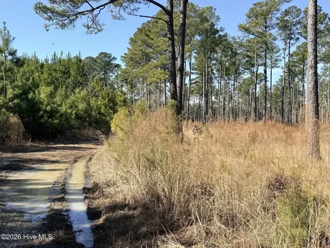 0 Sr 1119 Off Chocowinity NC 27817