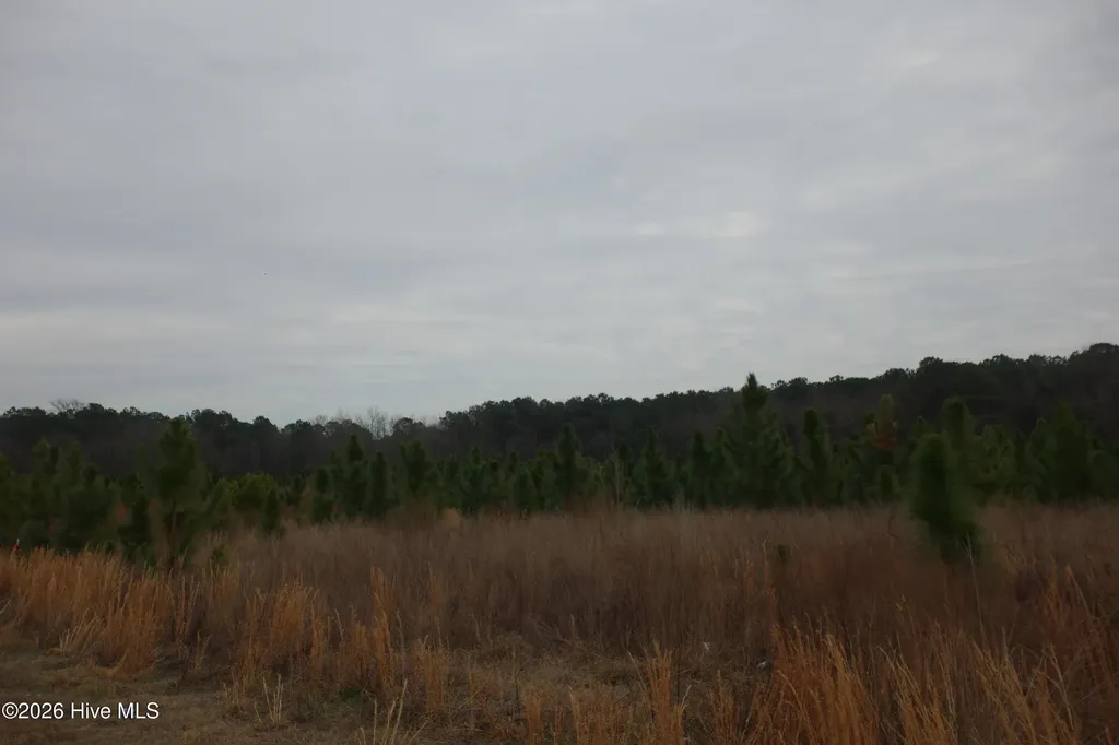 Lot 37 Stuarts Mill Road Fairmont NC 28340