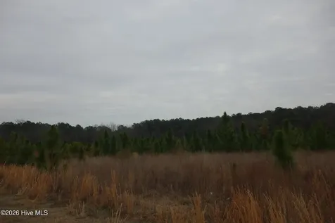 Lot 37 Stuarts Mill Road Fairmont NC 28340