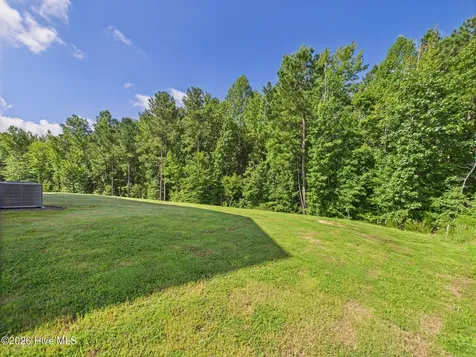 110 Symmetry Loo Loop Youngsville NC 27596