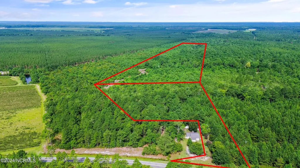 1 Lizzie Henry Road Ivanhoe NC 28447