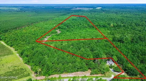 1 Lizzie Henry Road Ivanhoe NC 28447