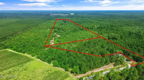 1 Lizzie Henry Road Ivanhoe NC 28447