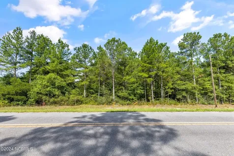 1 Lizzie Henry Road Ivanhoe NC 28447