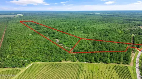 1 Lizzie Henry Road Ivanhoe NC 28447