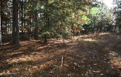 0 5th Street Extension Hamlet NC 28345