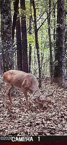 0 64 Lenoir NC 28633