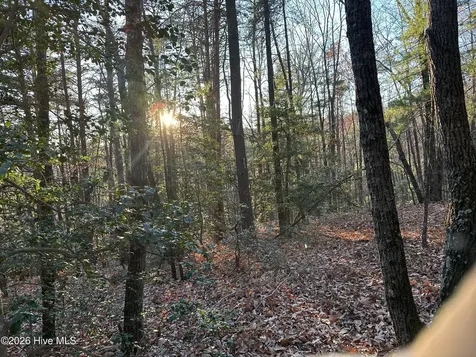 0 64 Lenoir NC 28633