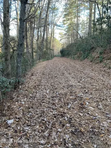 0 64 Lenoir NC 28633