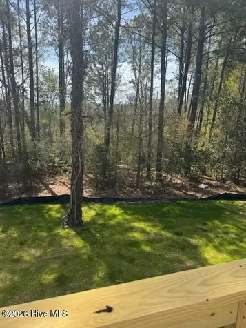 112 Velma Lane Sneads Ferry NC 28460
