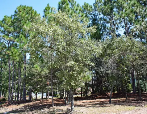 6452 Kirkwall Point SW Ocean Isle Beach NC 28469