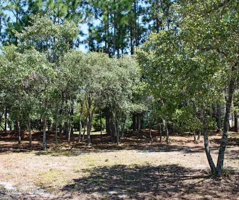 6452 Kirkwall Point SW Ocean Isle Beach NC 28469