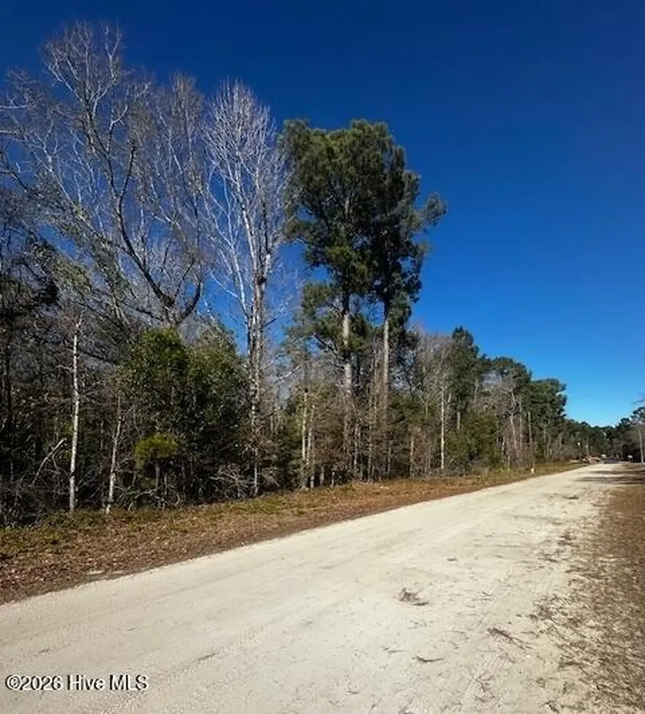 289 Tuliptree Lane SW Supply NC 28462