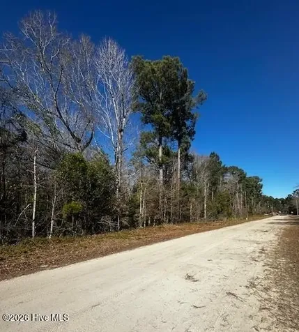 289 Tuliptree Lane SW Supply NC 28462