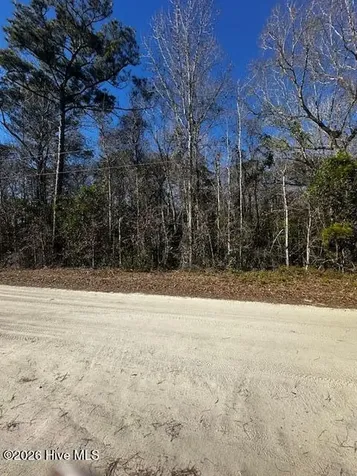 289 Tuliptree Lane SW Supply NC 28462