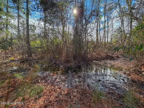 1474 Hillmon Grove Road Cameron NC 28326
