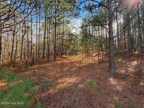 1474 Hillmon Grove Road Cameron NC 28326
