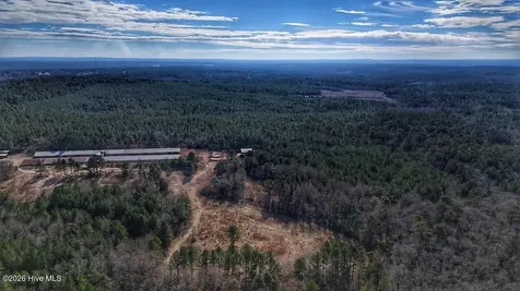 1474 Hillmon Grove Road Cameron NC 28326