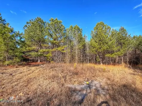 1474 Hillmon Grove Road Cameron NC 28326
