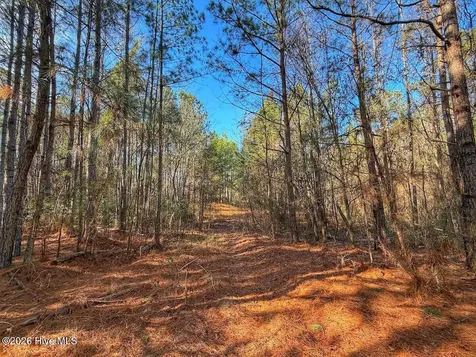 1474 Hillmon Grove Road Cameron NC 28326