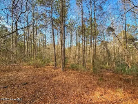 1474 Hillmon Grove Road Cameron NC 28326
