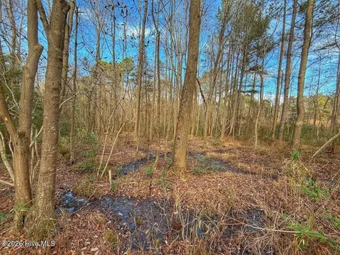 1474 Hillmon Grove Road Cameron NC 28326