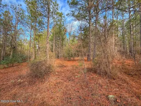 1474 Hillmon Grove Road Cameron NC 28326