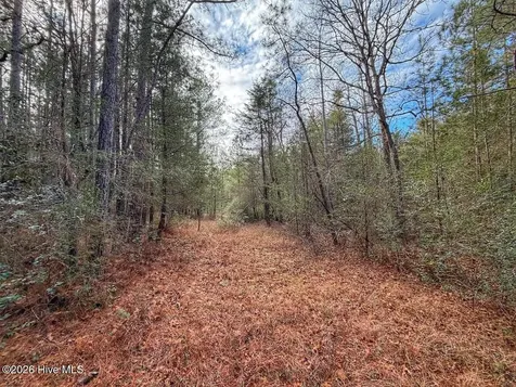 1474 Hillmon Grove Road Cameron NC 28326
