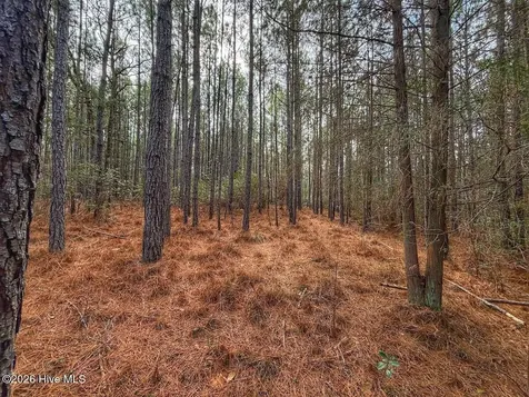 1474 Hillmon Grove Road Cameron NC 28326