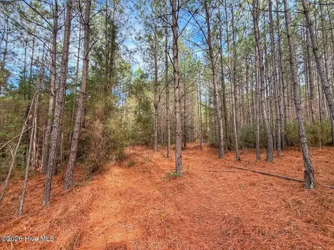 1474 Hillmon Grove Road Cameron NC 28326